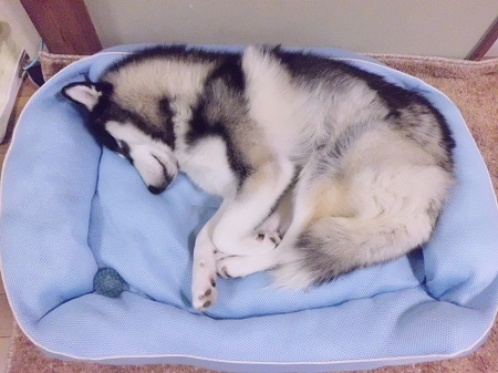 2012-12-25 001.JPG