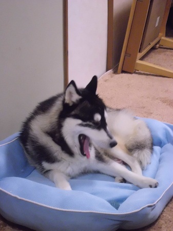 2012-12-25 006.JPG
