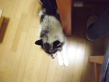 2012-12-25 008.JPG