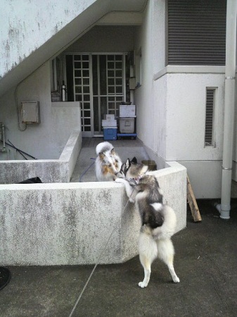 2012082308530000.jpg