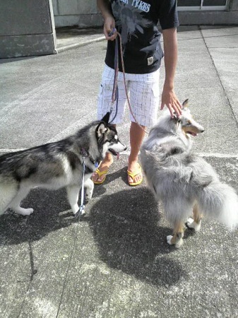 2012082309080000.jpg