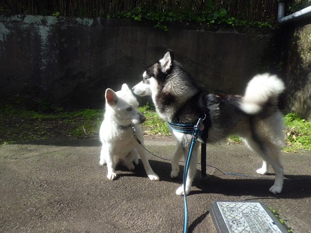 2013-04-012 006.JPG