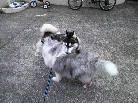 2013041709290000.jpg