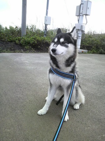 2013042009210000.jpg