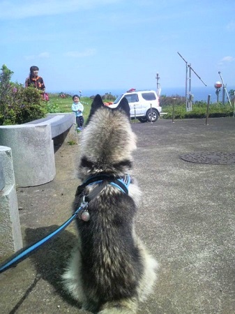 2013042309360000.jpg