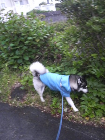 2013042417140000.jpg