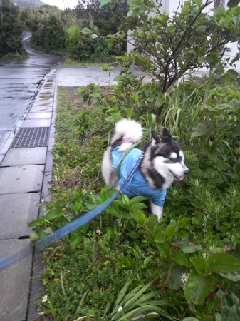 2013042417230000.jpg