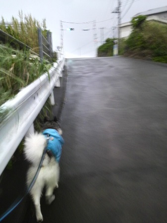 2013042417340000.jpg