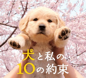 inu_main.jpg